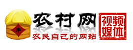 農(nóng)村網(wǎng)